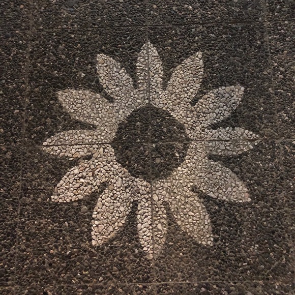 Meet your Posher, Hannah - Picture 1 of 1